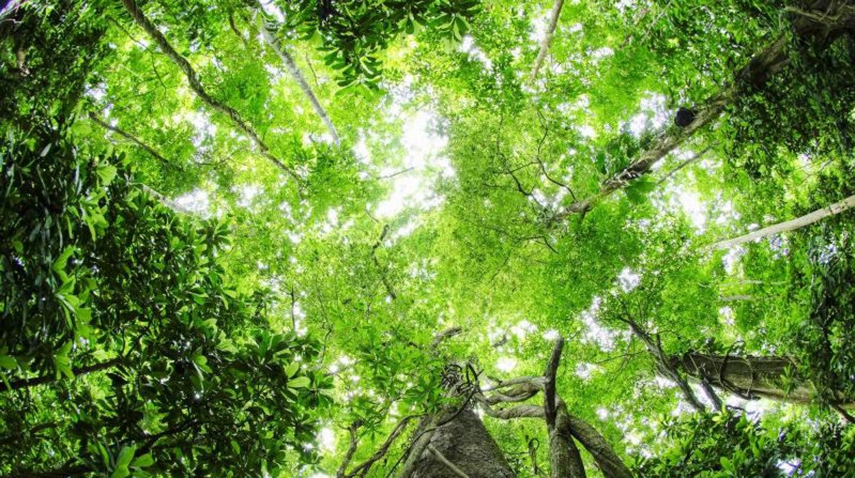 Parque Nacional de Carara (Costa Rica)