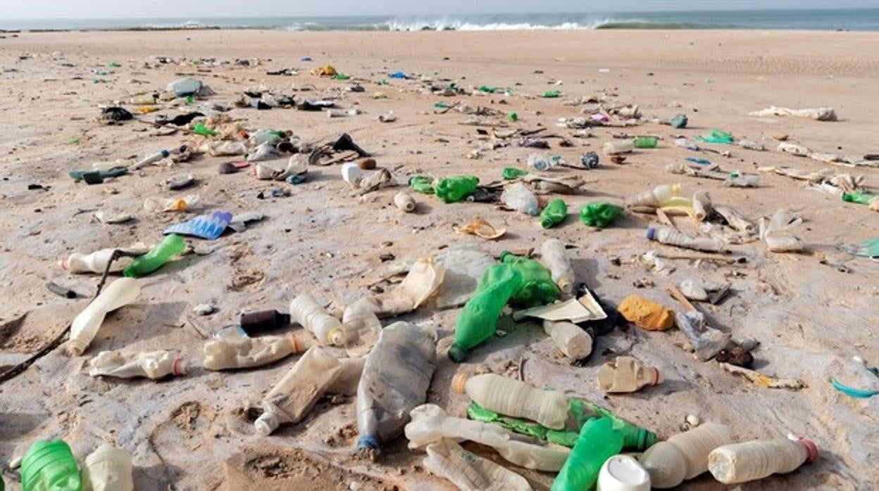 Basura plástica en una playa