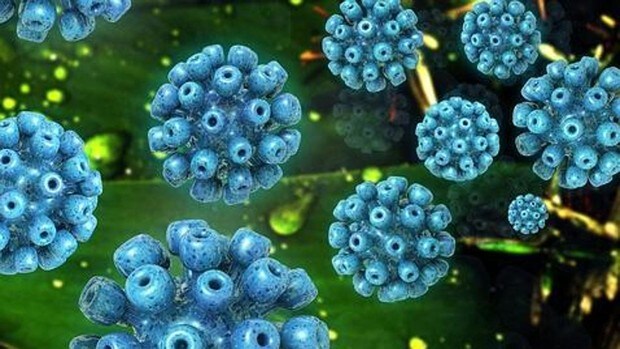 Esto es lo que se sabe de la hepatitis de origen desconocido y cómo protegerse