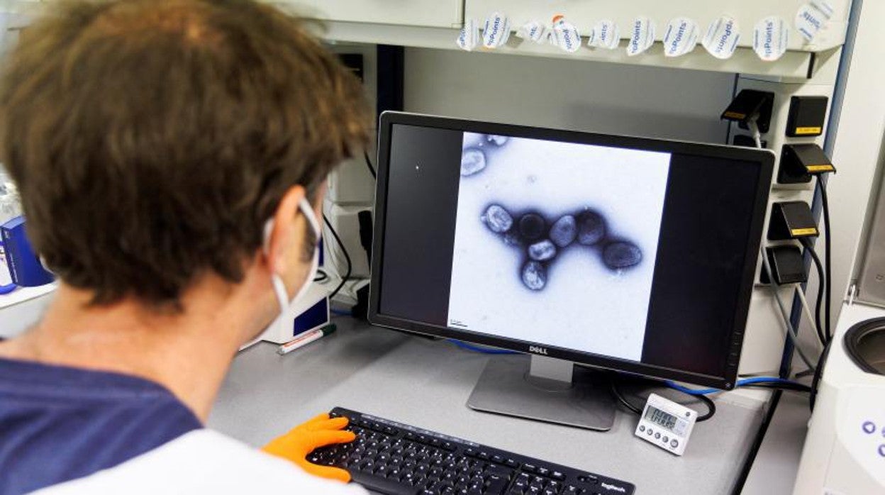 Una mujer examina muestras de la viruela del mono en un ordenador