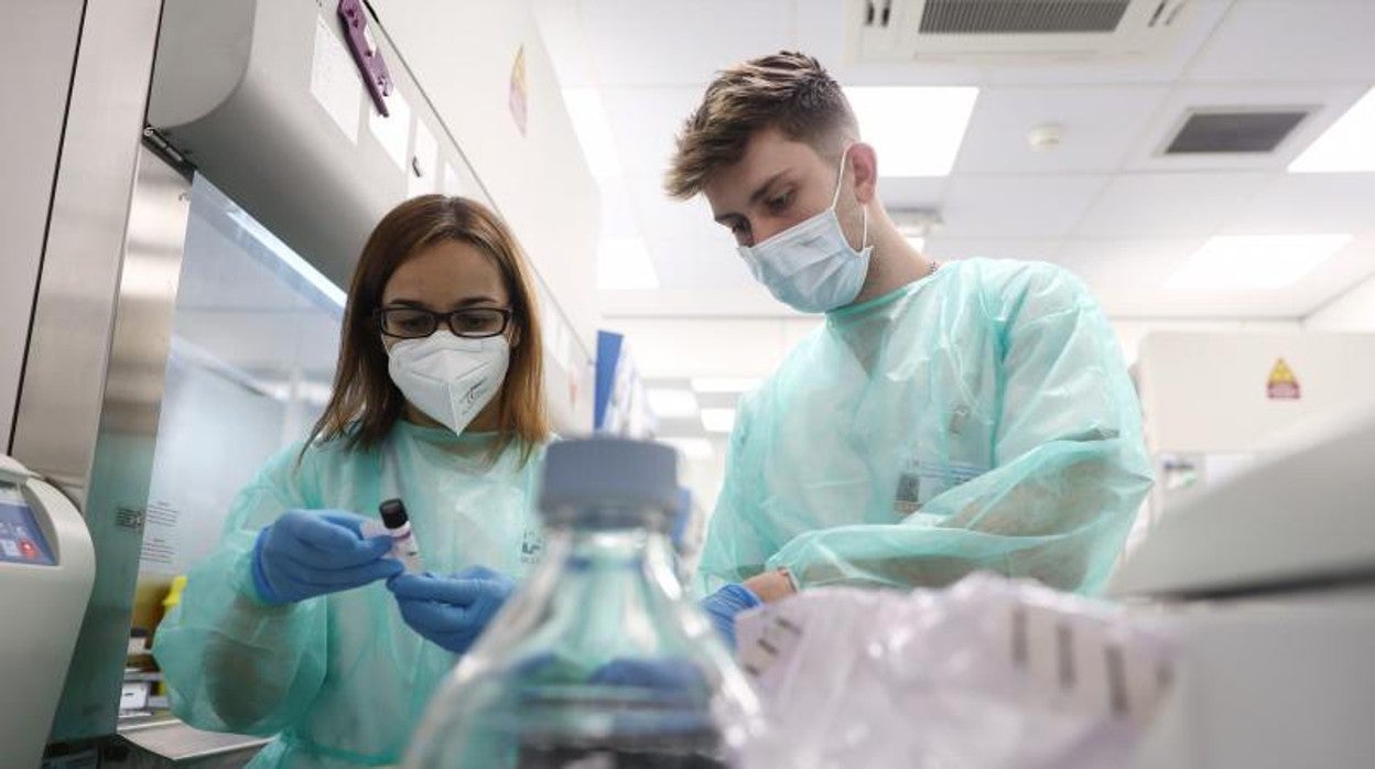 Laboratorio de Microbiología del Hospital Gregorio Marañón, de Madrid