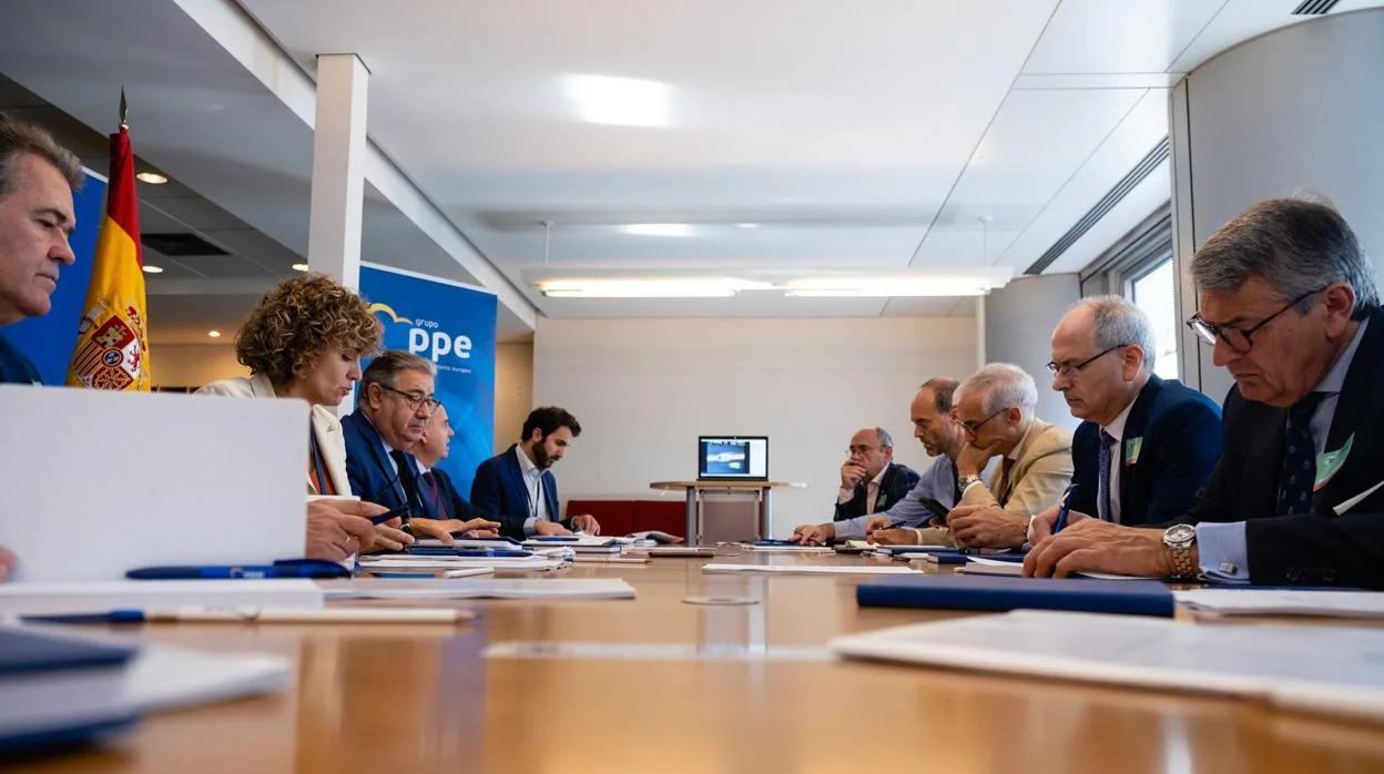 Los eurodiputados Dolors Montserrat y Juan Ignacio Zoido (izda de la imagen) durante la reunión con representantes de las denominaciones de origen y la Federación Española del Vino (FEV)