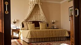 Imagen principal de la ficha