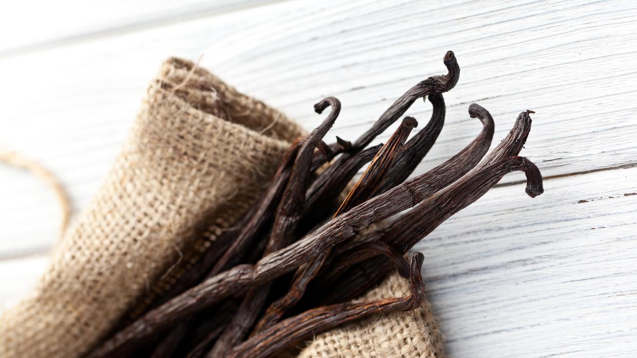 Todo lo que necesitas saber sobre la vainilla, una de las especias más exclusivas