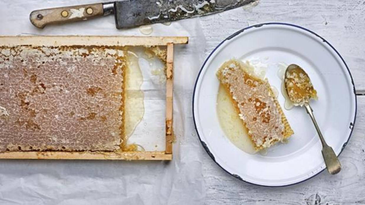 La delicia de tomar miel directamente del panal