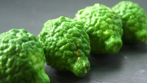 Su esencia es de las más populares en el mundo de la perfumería