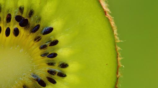 Existen múltiples variedades de kiwi