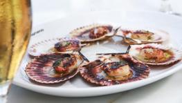 Imagen principal de la ficha