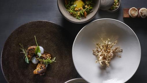 Propuestas gastronómicas