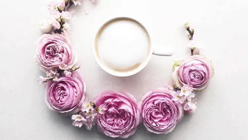 Una de las imágenes de la cuenta de Instagram La Fee de Fleur