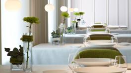 Imagen principal de la ficha