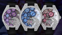 Imagen principal de la ficha