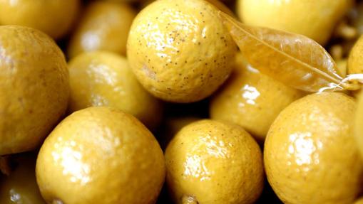 El Chinotto de Savona es una variedad de naranjo moruno tutelado por Slow Food. Imagen: Alberto Peroli