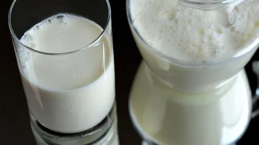 La leche es un ingrediente sátvico en la dieta ayurvédica