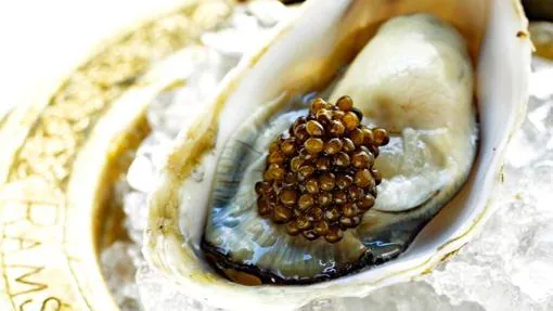 castigo Altitud mimar Todo sobre las ostras: mitos, verdades y direcciones