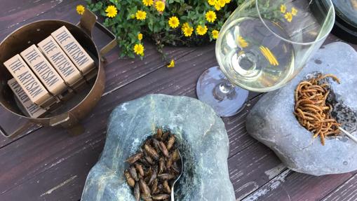 Maridaje con isectos