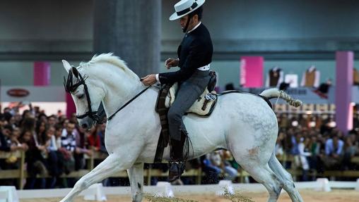 Madrid Horse Week 2018: Lo que no te puedes perder