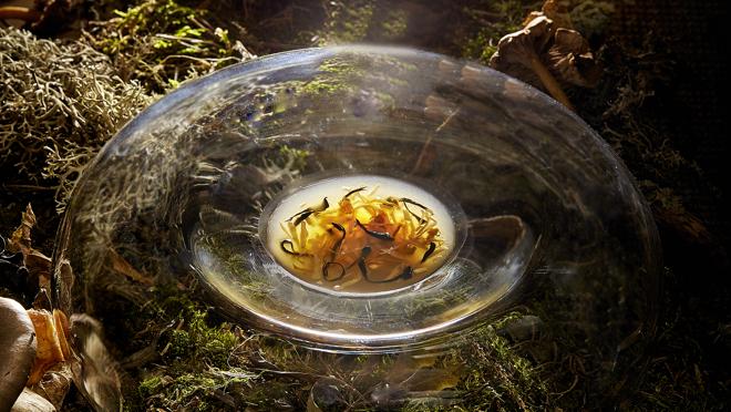 Ensalada de setas, consomé gelatinoso de rabo y yuzu