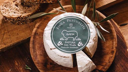 Pastura de Trufa de Finca Pascualete