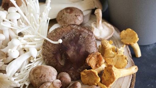 La seta shiitake está considerada un superalimento