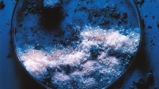 Una de las fotografías de Francesc Guillamet recopiladas en el libro Comer arte