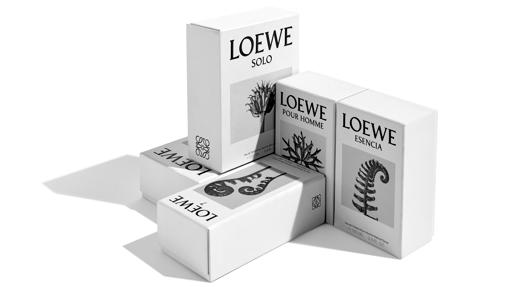 El nuevo packaging de Loewe con las fotografías botánicas de Blossfeldt