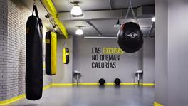 Imagen principal de la ficha