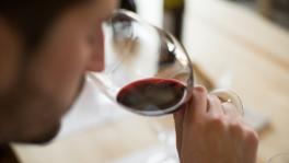 Imagen principal de la ficha