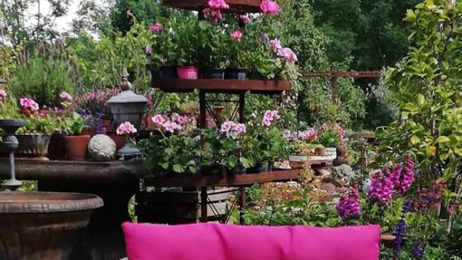 Las plantas son un elemento muy refrescante