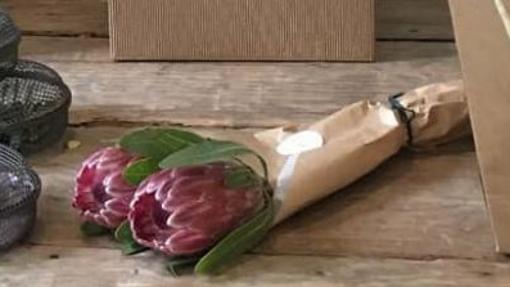 Las proteas, carismáticas en solitario o en pleno ramo