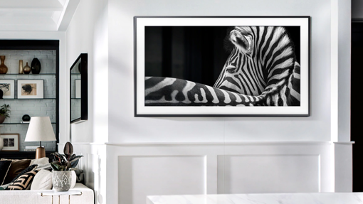 Modelo The Frame 2019