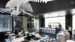 Imagen principal de la ficha