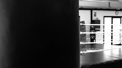 Ring de Morales Box, la primera "Boxing Boutique" de España