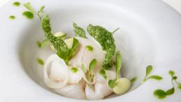 Imagen principal de la ficha