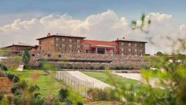 Imagen principal de la ficha