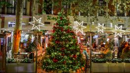 Imagen principal de la ficha