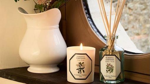 Fragancias botánicas que transportan al exterior