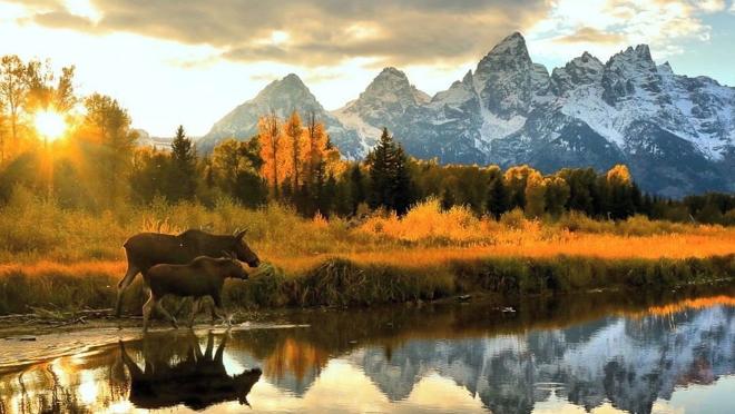 Las Montañas Rocosas recorren de norte a sur los Estados Unidos