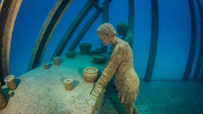 Imagen del interior de El invernadero de Coral