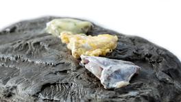 Imagen principal de la ficha