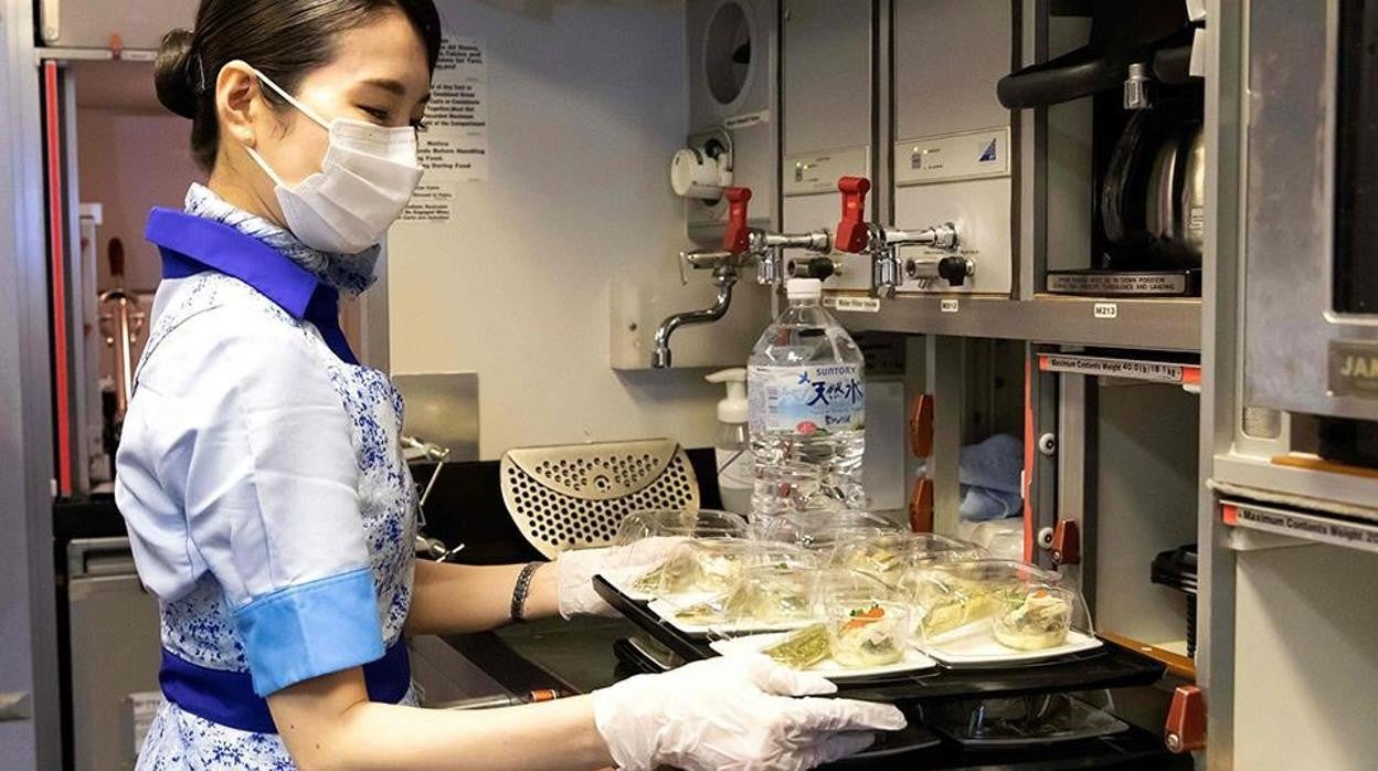 Todo lo que debes saber de las cenas en aviónb que ofrece la aerolíena All Nippon Airways