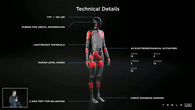 Este humanoide contará con la tecnología de los vehículos eléctricos de Tesla