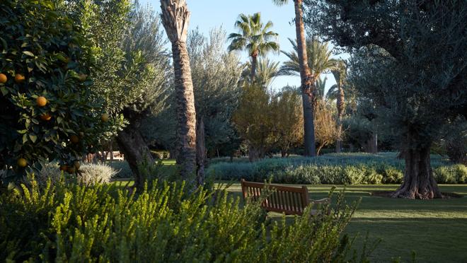 Jardines del hotel Royal Mansour.
