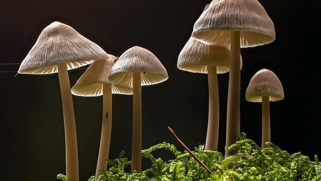 El concurso finalizará en febrero de 2023