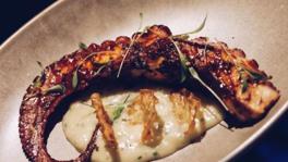 Imagen principal de la ficha