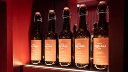 Imagen principal de la ficha