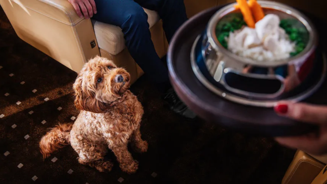 Los precios de este servicio rondan los 23.000 euros