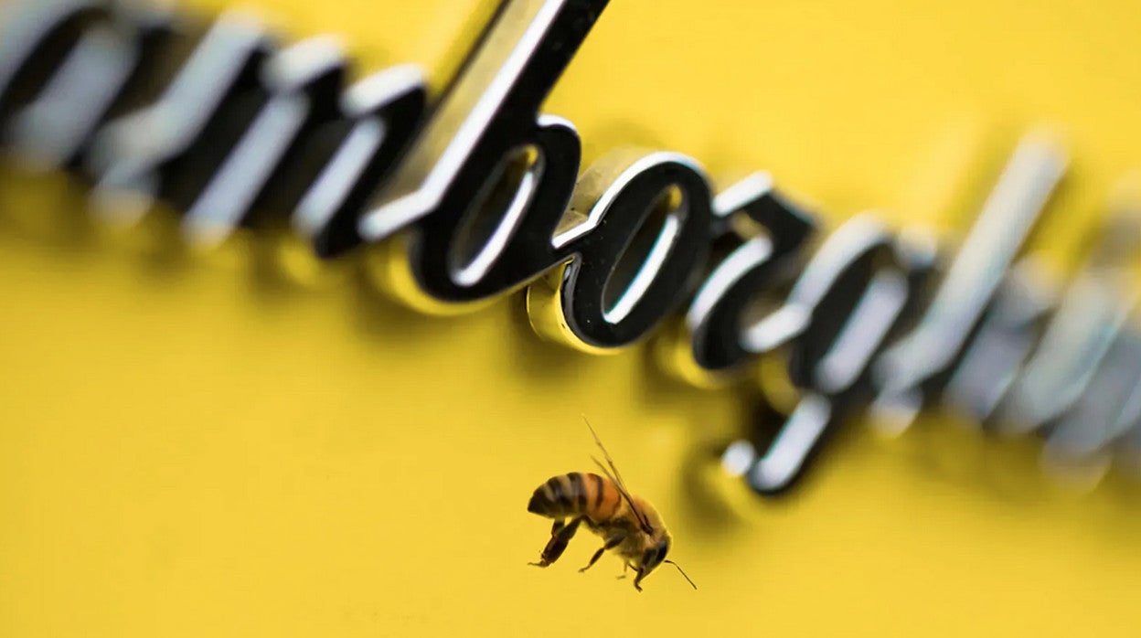 Así es la miel que produce Lamborghini