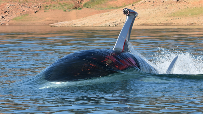 Cuenta con varias cámaras y sensores para garantizar la seguridad