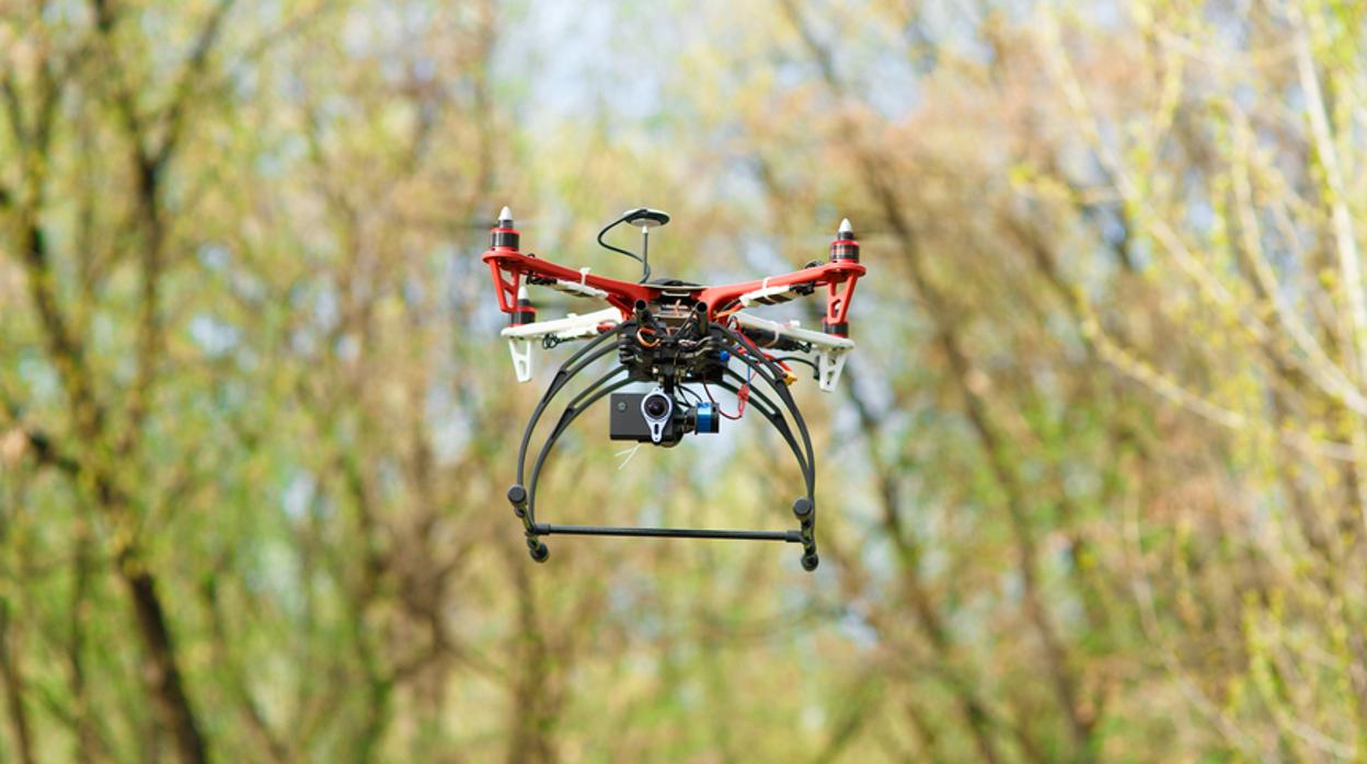 Drones, «big data» y semillas inteligentes para reforestar hasta 100.000 árboles al día